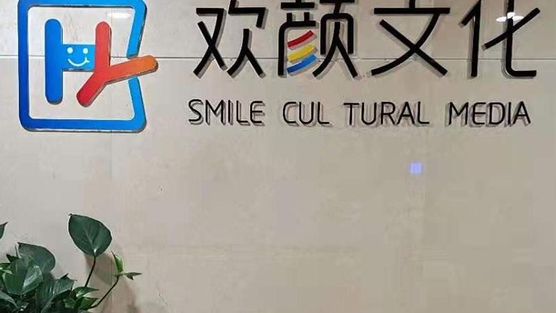 MG动画制作：合理收费的关键要素**